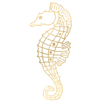 seahorse-1 seahorse-1