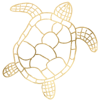 turtle-1 turtle-1